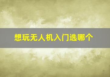 想玩无人机入门选哪个