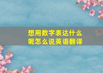 想用数字表达什么呢怎么说英语翻译