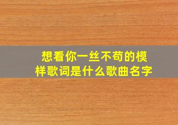 想看你一丝不苟的模样歌词是什么歌曲名字