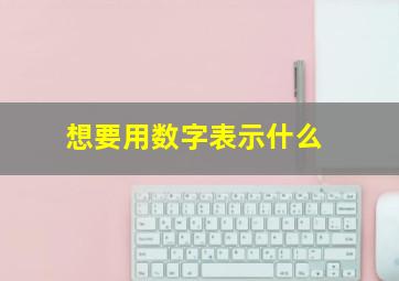 想要用数字表示什么