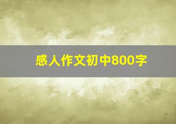 感人作文初中800字