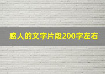 感人的文字片段200字左右