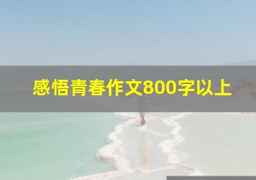 感悟青春作文800字以上