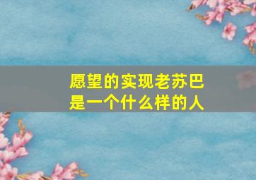 愿望的实现老苏巴是一个什么样的人