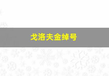 戈洛夫金绰号