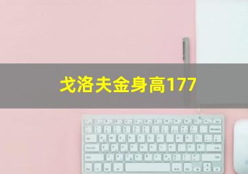 戈洛夫金身高177