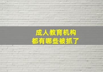 成人教育机构都有哪些被抓了