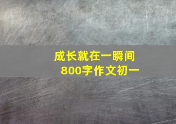 成长就在一瞬间800字作文初一