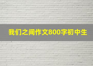 我们之间作文800字初中生