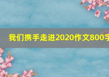 我们携手走进2020作文800字