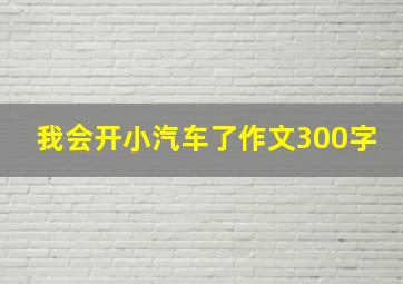 我会开小汽车了作文300字