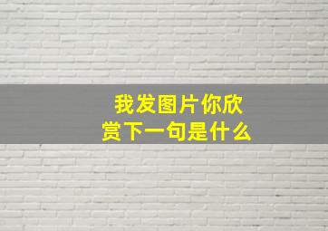 我发图片你欣赏下一句是什么