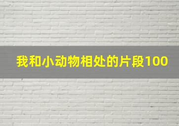 我和小动物相处的片段100