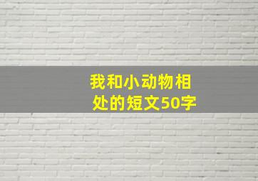 我和小动物相处的短文50字