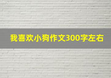 我喜欢小狗作文300字左右