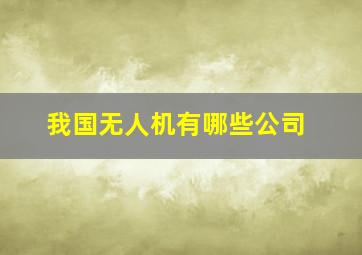 我国无人机有哪些公司