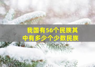 我国有56个民族其中有多少个少数民族