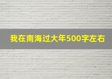 我在南海过大年500字左右