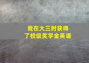 我在大三时获得了校级奖学金英语