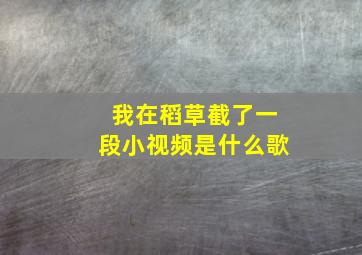 我在稻草截了一段小视频是什么歌