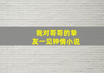 我对哥哥的挚友一见钟情小说