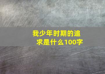 我少年时期的追求是什么100字