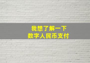 我想了解一下数字人民币支付