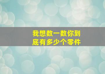 我想数一数你到底有多少个零件