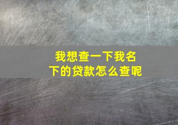 我想查一下我名下的贷款怎么查呢