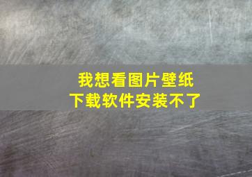 我想看图片壁纸下载软件安装不了