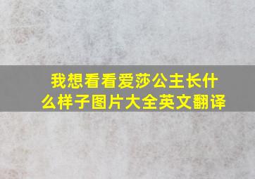 我想看看爱莎公主长什么样子图片大全英文翻译