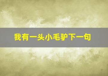 我有一头小毛驴下一句