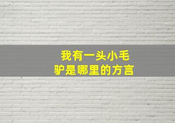 我有一头小毛驴是哪里的方言