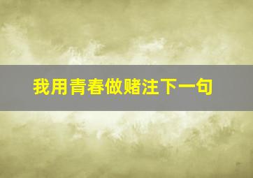 我用青春做赌注下一句