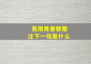 我用青春做赌注下一句是什么