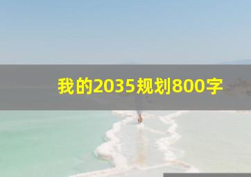 我的2035规划800字