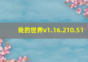 我的世界v1.16.210.51