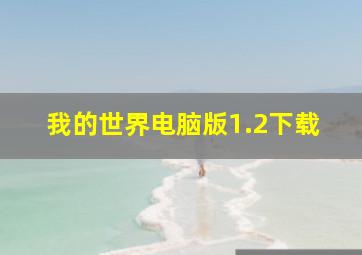 我的世界电脑版1.2下载