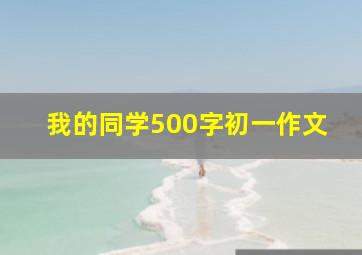 我的同学500字初一作文