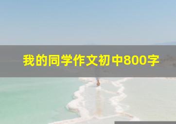 我的同学作文初中800字