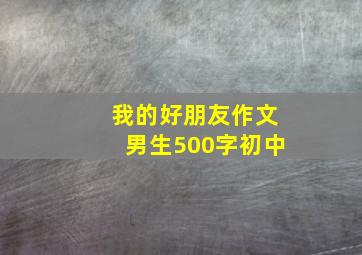 我的好朋友作文男生500字初中