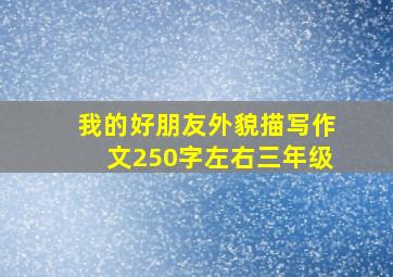 我的好朋友外貌描写作文250字左右三年级