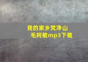 我的家乡梵净山毛阿敏mp3下载