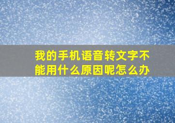 我的手机语音转文字不能用什么原因呢怎么办