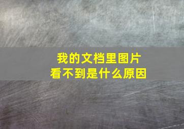 我的文档里图片看不到是什么原因