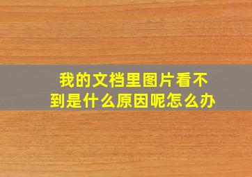 我的文档里图片看不到是什么原因呢怎么办