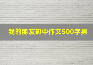 我的朋友初中作文500字男