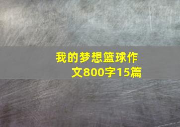 我的梦想篮球作文800字15篇