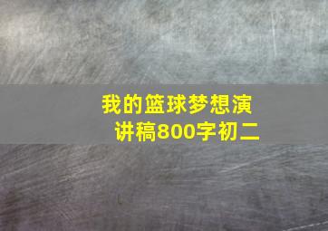 我的篮球梦想演讲稿800字初二