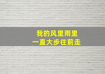 我的风里雨里一直大步往前走